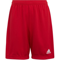 Adidas Entrada 22 Jr H57501 shorts (116 cm)