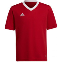 Adidas T-shirt adidas Entrada 22 Jsy Jr H57496 (140 cm)
