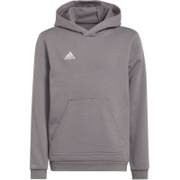 Adidas Sweatshirt adidas Entrada 22 Hoody Jr H57515 (128 cm)