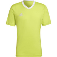 Adidas Tee adidas Entrada 22 M HC5077 (S (173cm))