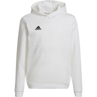 Adidas Sweatshirt adidas Entrada 22 Hoody Jr HG6303 (152cm)