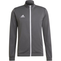 Adidas Sweatshirt adidas Entrada 22 Track M H57522 (M (178cm))