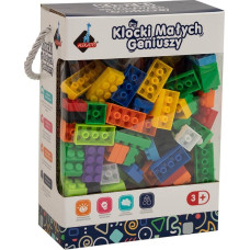 Askato Klocki małych geniuszy basic 240 elementów