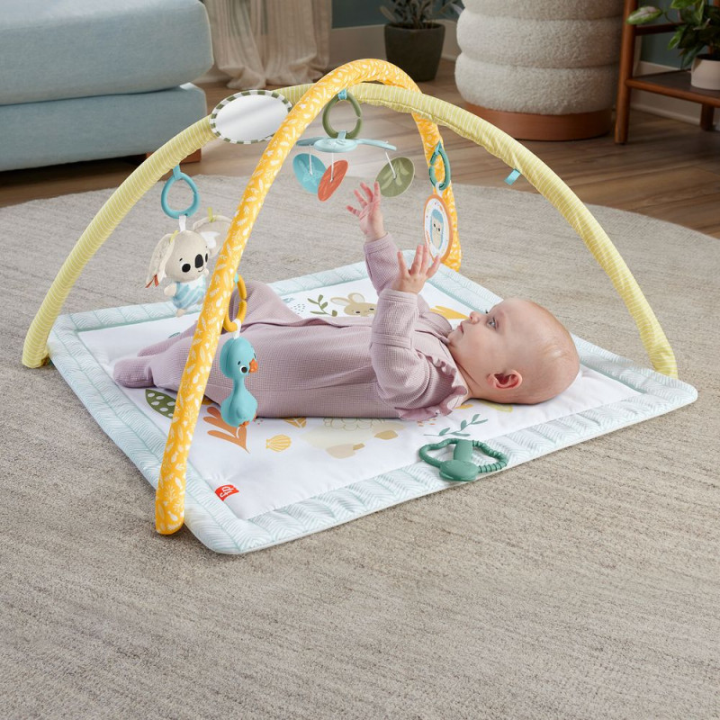 Mattel Fisher-Price® Simply Senses Newborn Gym (HRB15)