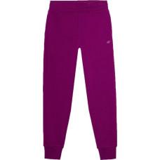 4F Pants 4F F606 W 4FWSS24TTROF606 51S (S)